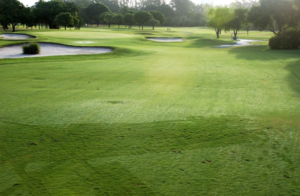 Sand traps on golf course