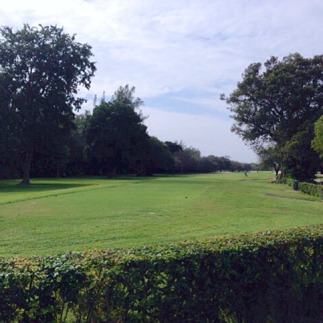 View of golf course with trees