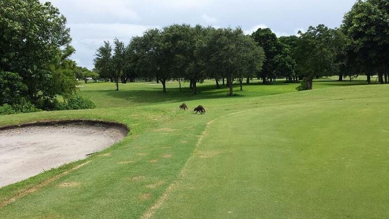 Golf course hole