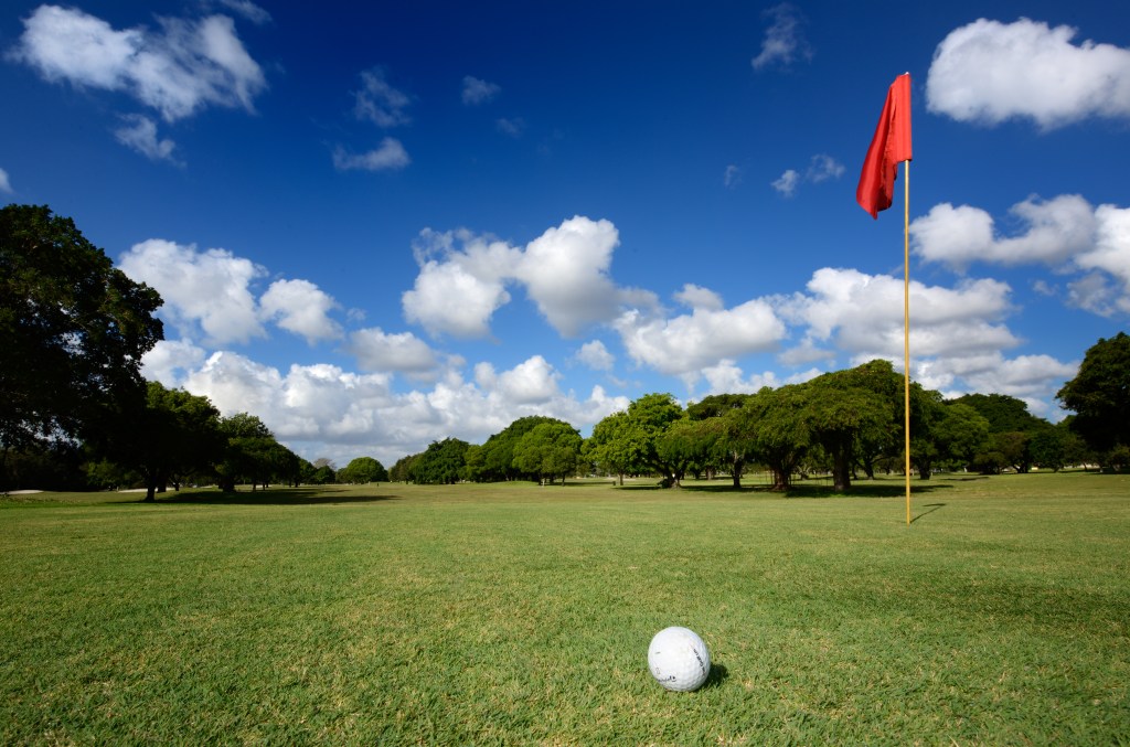 Golf course with golf ball and red flag near hole
