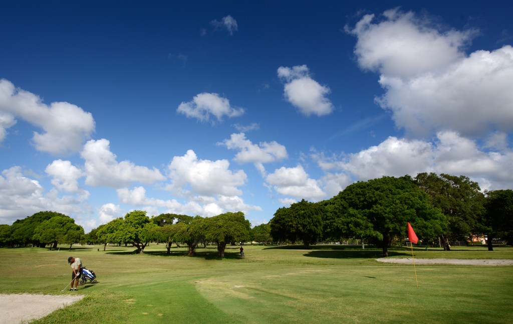 Golfer with pull cart on golf course near hole with a red flag on it